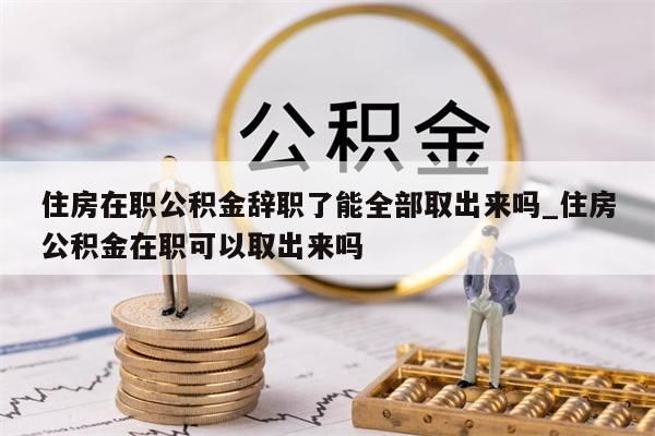 住房在职公积金辞职了能全部取出来吗_住房公积金在职可以取出来吗